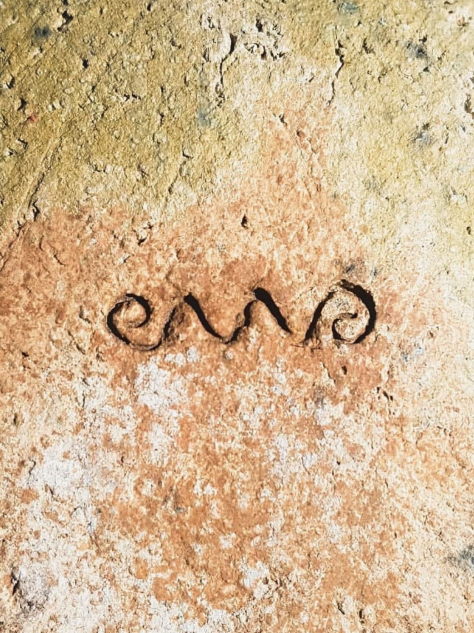 Archivex 003 - BARROTECA 10